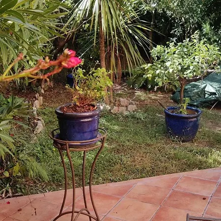 Apartment De Charme Wi-fi ,clim, Garage Jardin Prives, Piscine Environnement Arbore